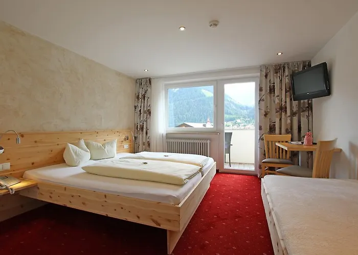 福克斯膳食公寓 3*