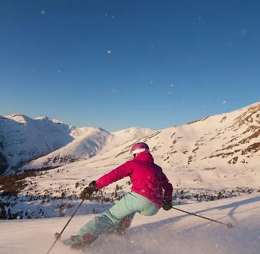 住宿加早餐酒店 福克斯膳食公寓 普范德斯