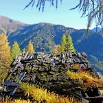 Frühstückspension Fuchs 3*